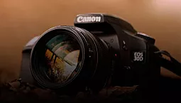 Quina càmera triar: SLR o compacta?