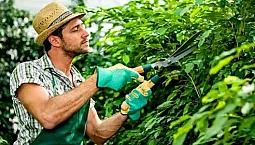 15 labākie griezēji