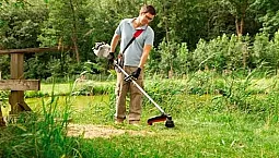 20 أفضل قادين البنزين