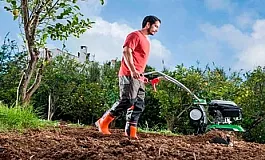 15 המטפחים הטובים ביותר