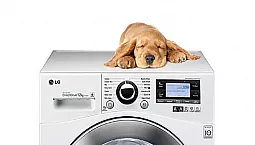 13টি সবচেয়ে শান্ত ওয়াশিং মেশিন