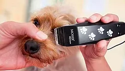 10 קוצץ הכלבים הטובים ביותר