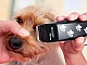10 mejores cortapelos para perros