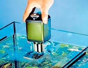 10 migliori filtri per acquari