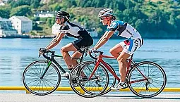 أفضل 15 دراجة طريق لعام 2020