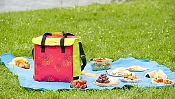 Top 5 značek chladicích tašek