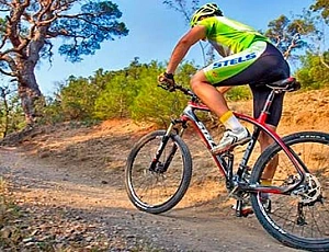 Las 15 mejores bicicletas Stealth