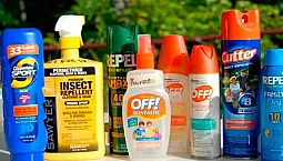 20 remedios efectivos para las chinches