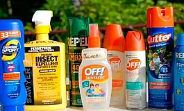 20 αποτελεσματικές θεραπείες για κοριούς