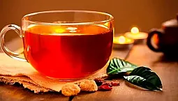 Las 20 mejores marcas de té