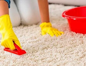 I 10 migliori pulitori di tappeti