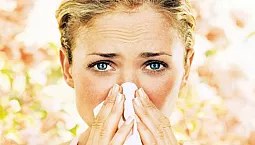 أعلى 10 قطرات حساسية