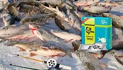 10 meilleurs activateurs de morsure