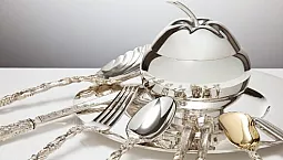 15 יצרני הסכו