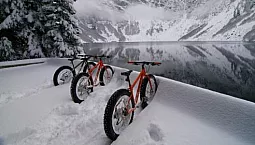 6 bästa fatbike-tillverkarna