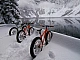 Los 6 mejores fabricantes de fatbikes