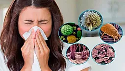 Os 15 principais remédios para alergia