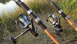 أفضل 10 خطوط تغذية