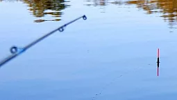 أفضل 10 خطوط لقضيب عائم