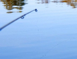 Las 10 mejores líneas para una caña flotante