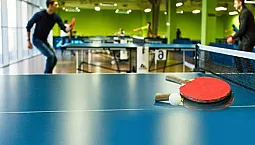 As 5 maiores empresas de tênis de mesa