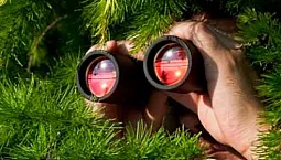 top 10 binocular brands