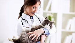 10 beste veterinærklinikker i Moskva