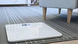 10 המותגים המובילים בקנה מידה רצפה