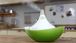 10 tips for å velge en luftfukter