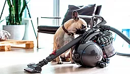 15 bästa dammsugare för djurhår