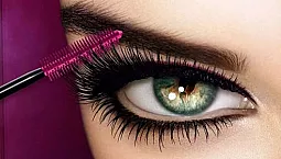 20 bästa mascarorna