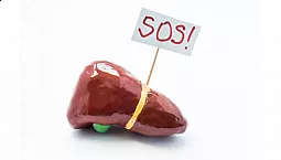 De 15 bästa levermedicinerna 2020