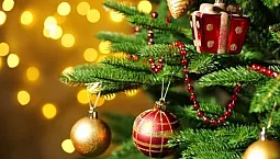 최고의 크리스마스 장식 공장 10곳