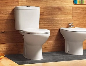 10 consigli per la scelta di una toilette
