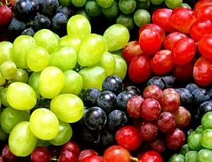 莫斯科地區的 16 個最佳葡萄品種