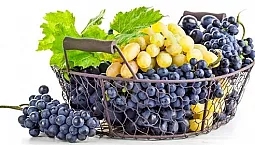 10 bästa druvsorterna för mittbanan