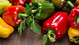 12 melhores variedades de pimenta para estufas