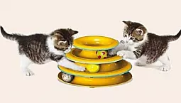 10 mejores juguetes para gatos