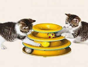 10 migliori giocattoli per gatti