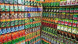 10 ร้านค้าออนไลน์ที่ดีที่สุดสำหรับเมล็ดพันธุ์และต้นกล้า