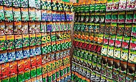 10 meilleurs magasins en ligne de graines et de semis