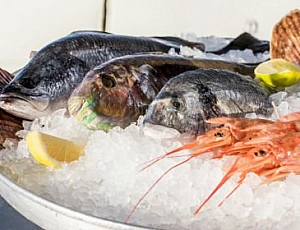 莫斯科 10 佳魚餐廳