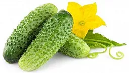 10 melhores variedades de pepinos
