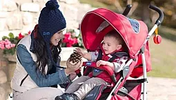 Los 10 principales fabricantes de cochecitos