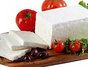 10 best homemade cheese makers