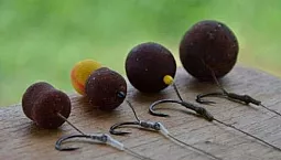 কার্পের জন্য 10টি সেরা ফোড়া