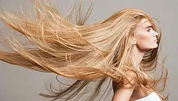 15 צבעי ההבהרה הטובים ביותר