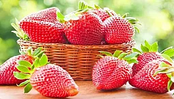 10 pinakamahusay na strawberry varieties para sa Siberia