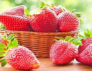 10 nejlepších odrůd jahod pro Sibiř