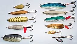 20 সেরা স্পিনিং lures